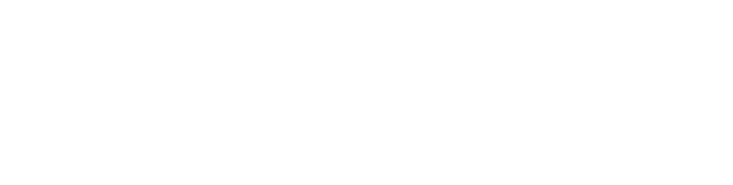 Startup Texas Logo